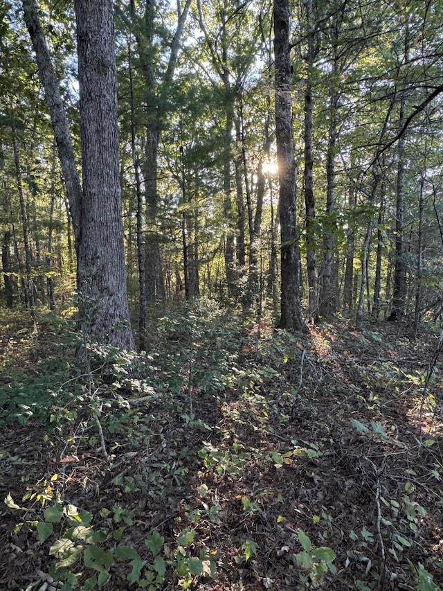 910 Ivy Branch Rd, Spring City, TN 37381