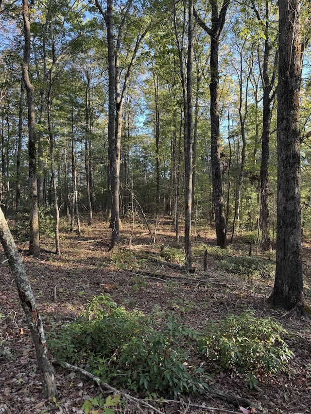 910 Ivy Branch Rd, Spring City, TN 37381