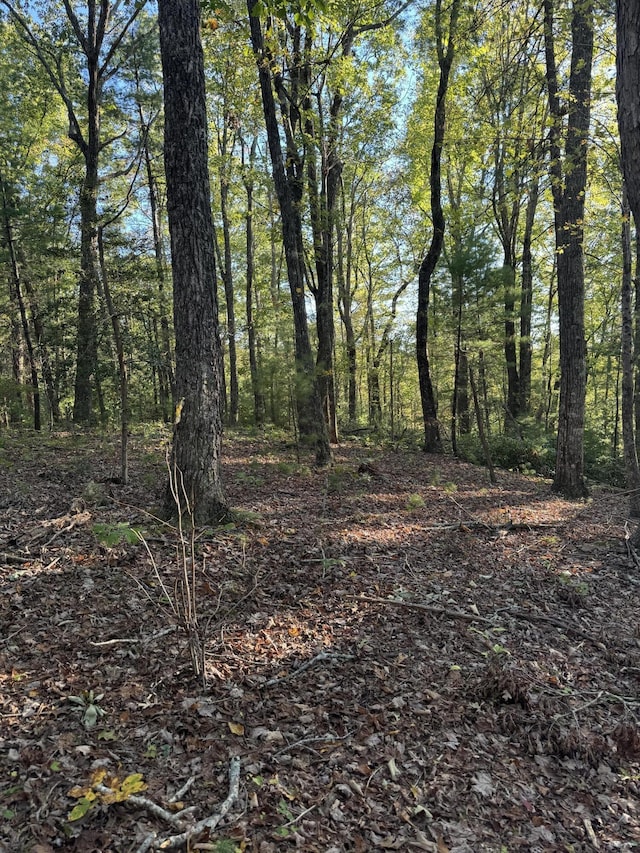 910 Ivy Branch Rd, Spring City, TN 37381