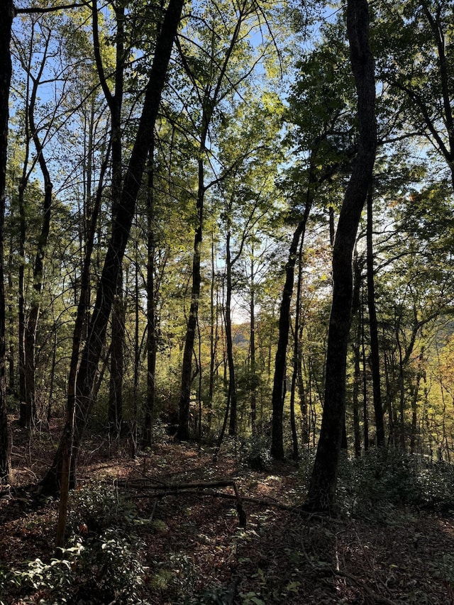 910 Ivy Branch Rd, Spring City, TN 37381