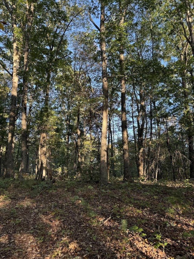 910 Ivy Branch Rd, Spring City, TN 37381