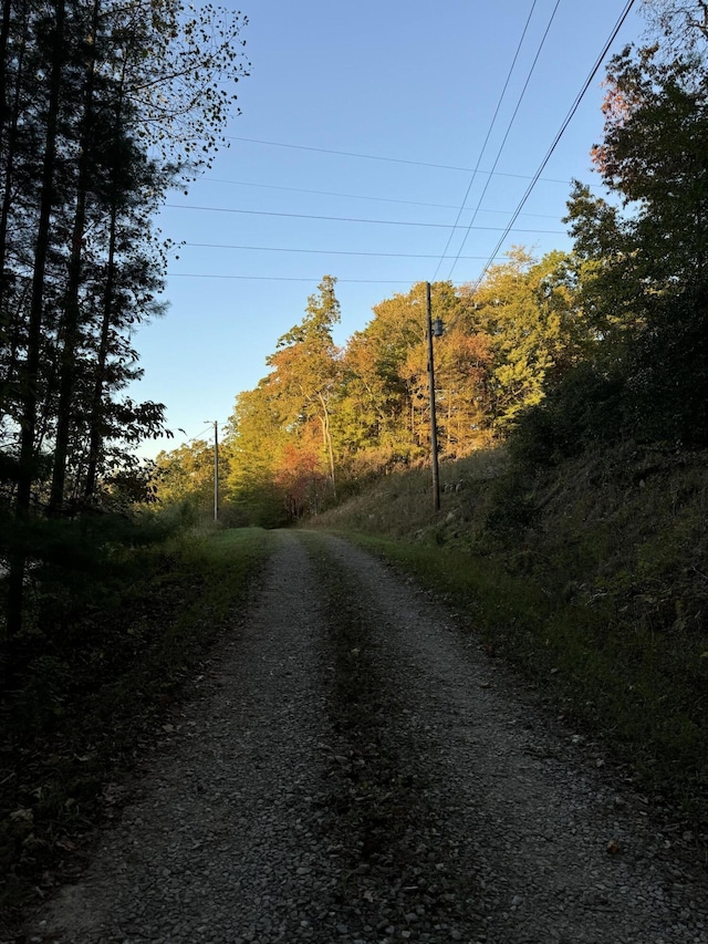 910 Ivy Branch Rd, Spring City, TN 37381