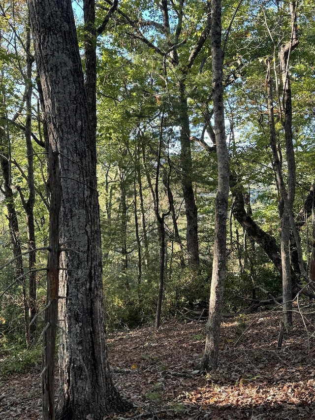 910 Ivy Branch Rd, Spring City, TN 37381