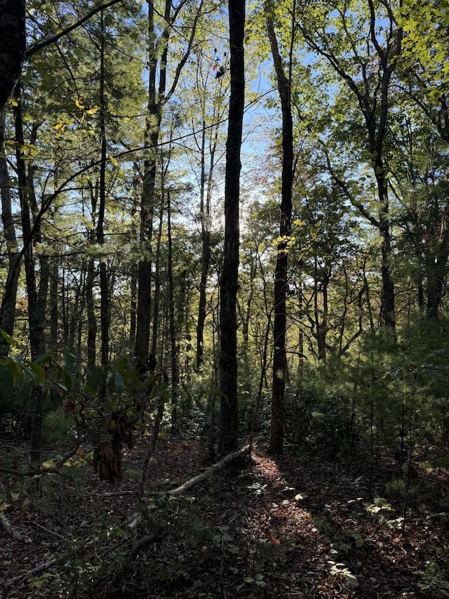 910 Ivy Branch Rd, Spring City, TN 37381