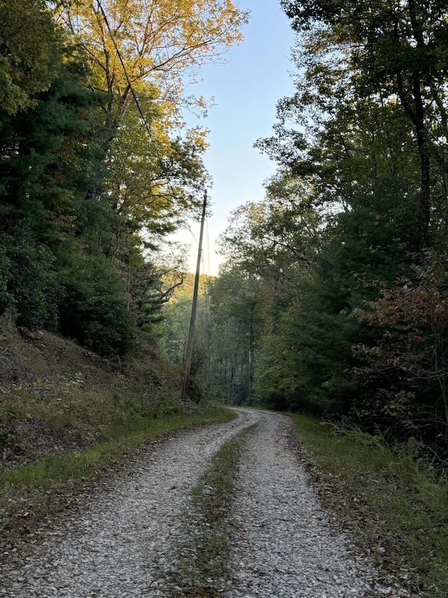 910 Ivy Branch Rd, Spring City, TN 37381