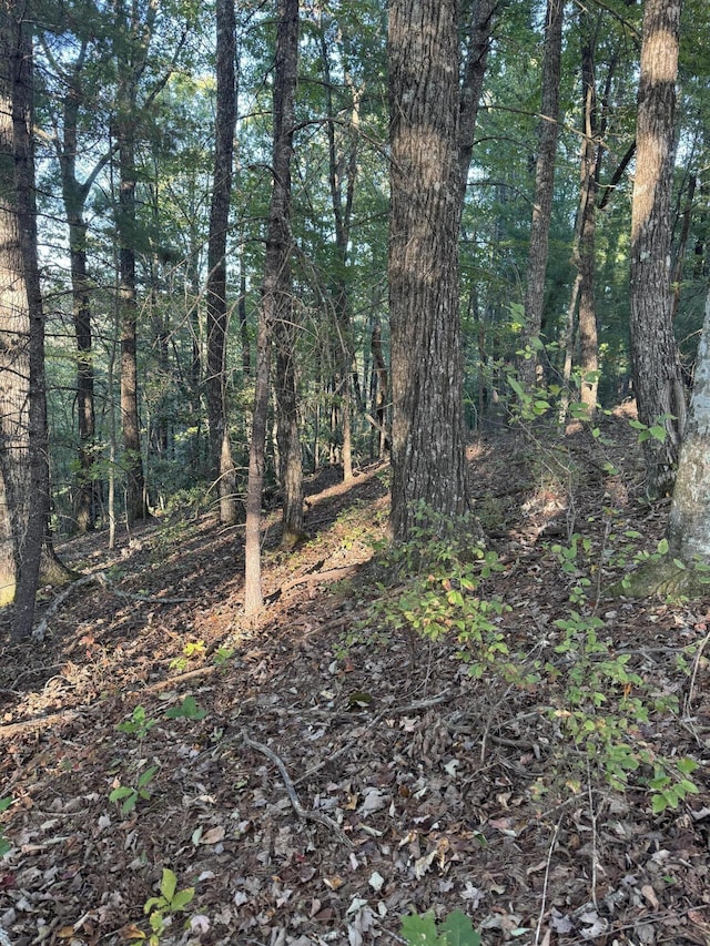910 Ivy Branch Rd, Spring City, TN 37381