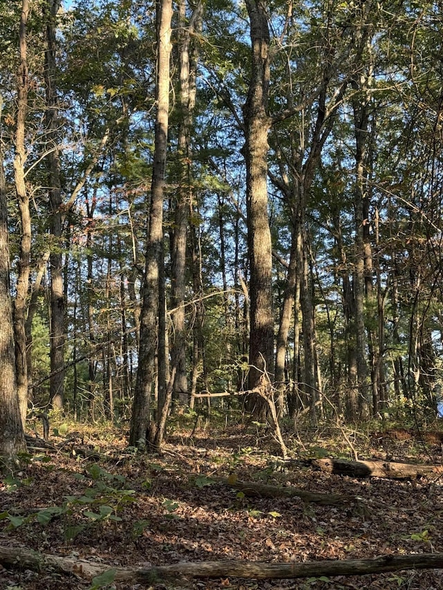 910 Ivy Branch Rd, Spring City, TN 37381