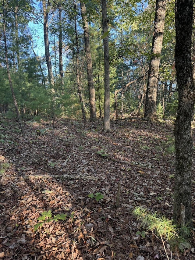 910 Ivy Branch Rd, Spring City, TN 37381