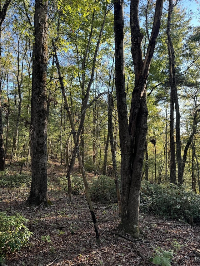 910 Ivy Branch Rd, Spring City, TN 37381