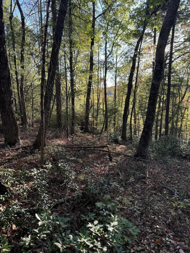910 Ivy Branch Rd, Spring City, TN 37381