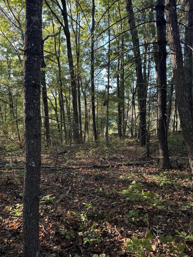 910 Ivy Branch Rd, Spring City, TN 37381