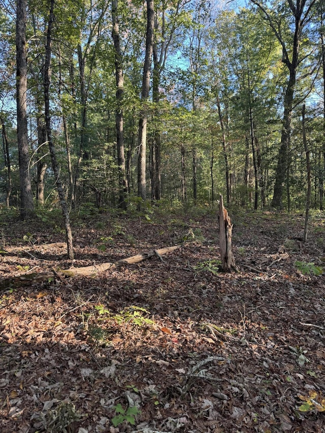 910 Ivy Branch Rd, Spring City, TN 37381