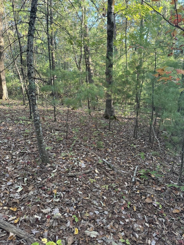 910 Ivy Branch Rd, Spring City, TN 37381