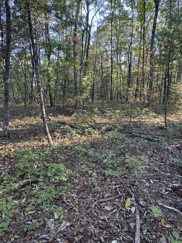 910 Ivy Branch Rd, Spring City, TN 37381