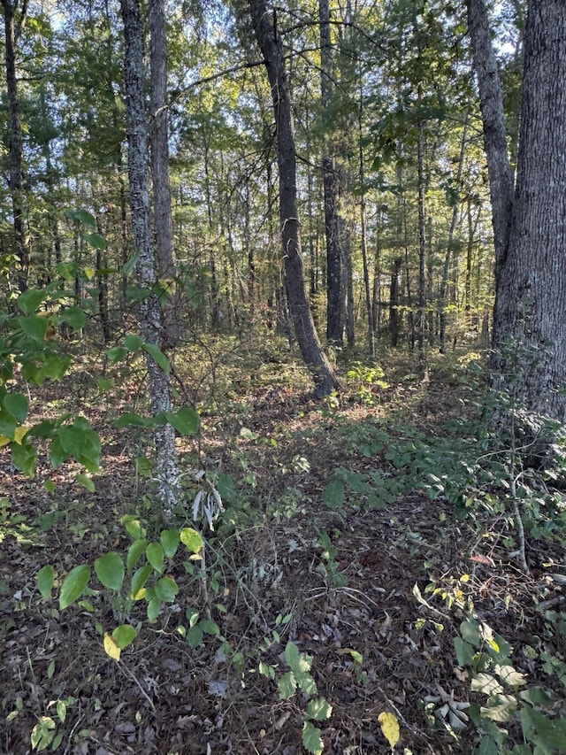 910 Ivy Branch Rd, Spring City, TN 37381