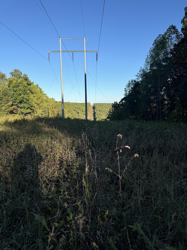 910 Ivy Branch Rd, Spring City, TN 37381