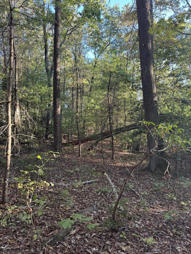 910 Ivy Branch Rd, Spring City, TN 37381