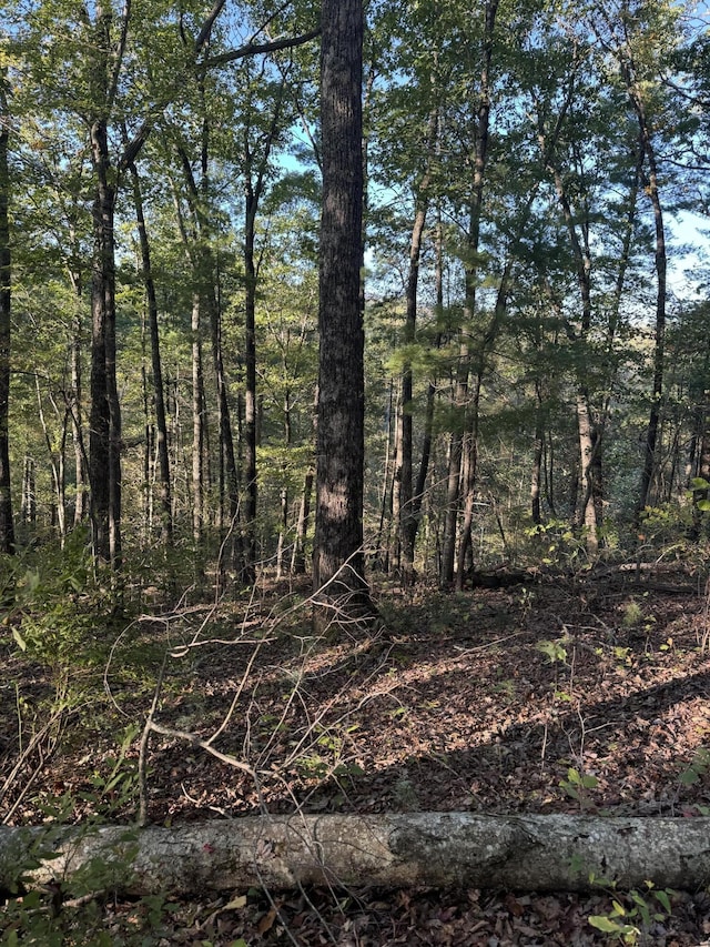 910 Ivy Branch Rd, Spring City, TN 37381