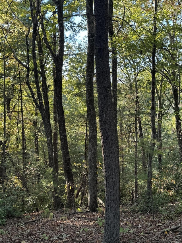 910 Ivy Branch Rd, Spring City, TN 37381