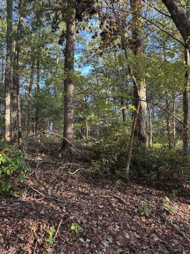 910 Ivy Branch Rd, Spring City, TN 37381