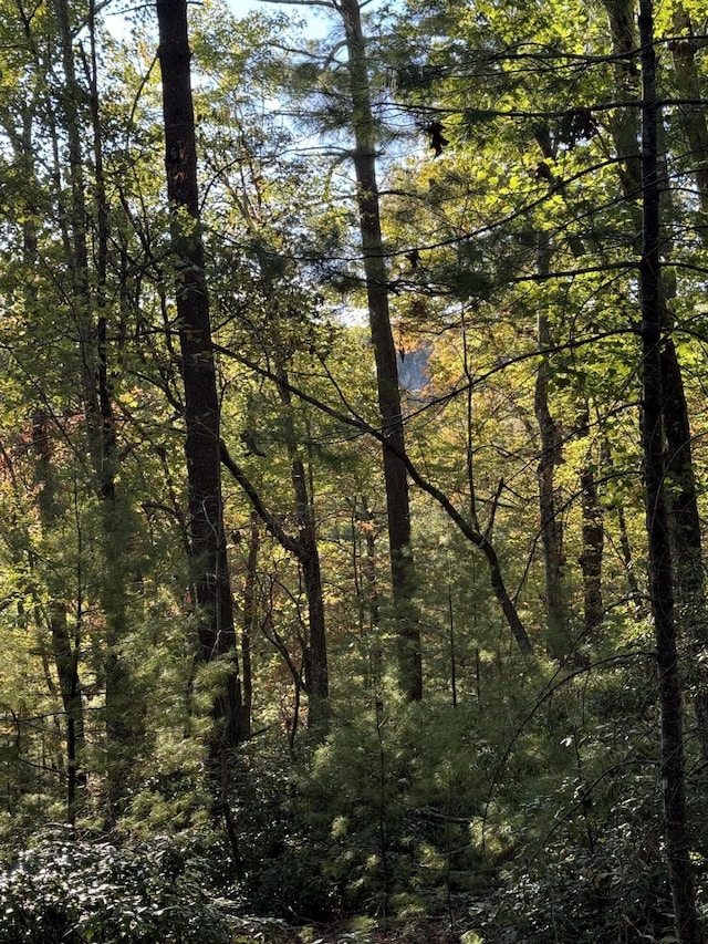 910 Ivy Branch Rd, Spring City, TN 37381