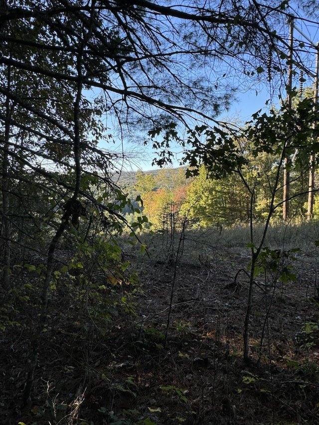 910 Ivy Branch Rd, Spring City, TN 37381