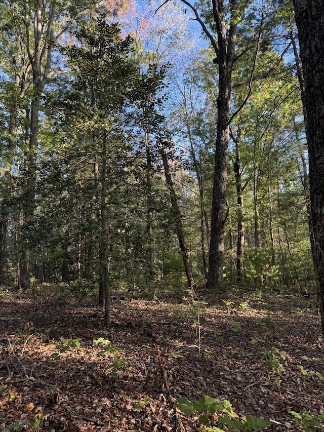 910 Ivy Branch Rd, Spring City, TN 37381