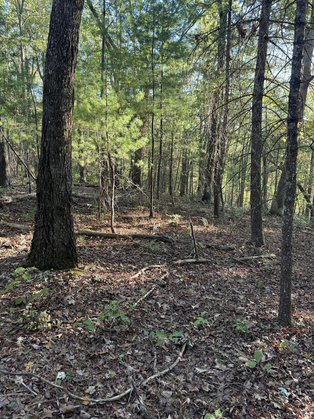 910 Ivy Branch Rd, Spring City, TN 37381