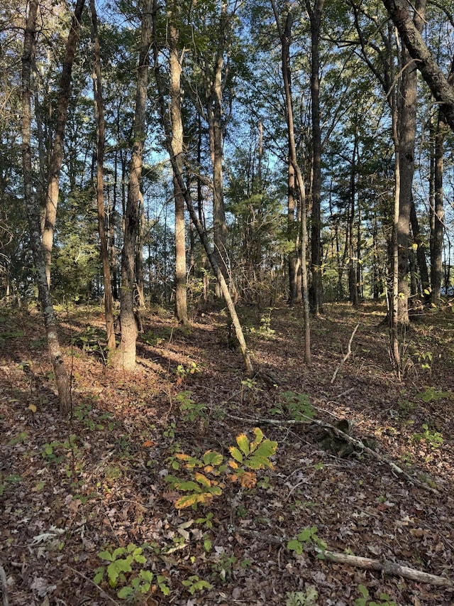 910 Ivy Branch Rd, Spring City, TN 37381