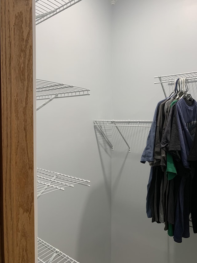 2175 Winsett Rd, Springville, TN 38256 - view of spacious closet