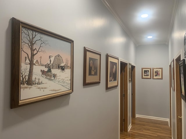 2175 Winsett Rd, Springville, TN 38256 - hall with baseboards, ornamental molding, recessed lighting, and wood finished floors
