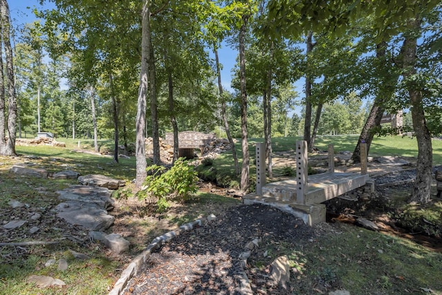 405 Boone Pass, Jasper, TN 37347 - view of yard featuring view of wooded area