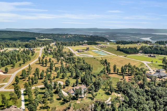 405 Boone Pass, Jasper, TN 37347 - drone / aerial view of a mountainous background