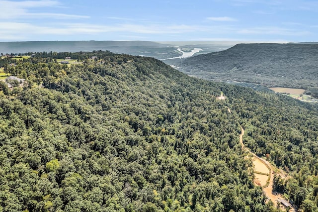 405 Boone Pass, Jasper, TN 37347 - mountain view featuring a heavily wooded area