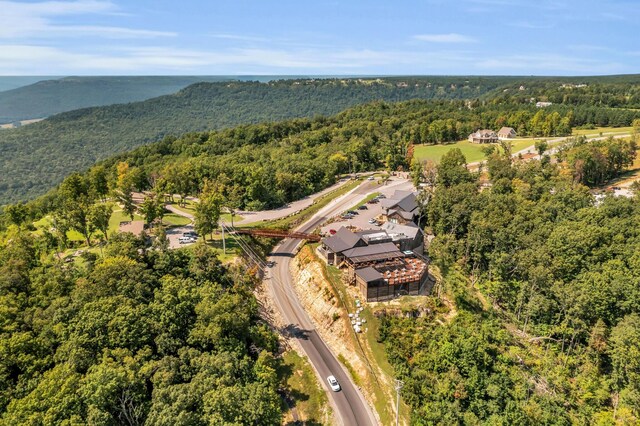 405 Boone Pass, Jasper, TN 37347 - bird's eye view of a forest