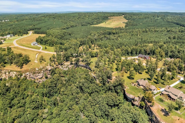 405 Boone Pass, Jasper, TN 37347 - aerial view of property and surrounding area with a forest