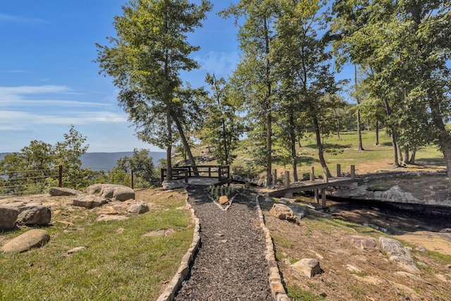 405 Boone Pass, Jasper, TN 37347 - view of yard with a mountain view