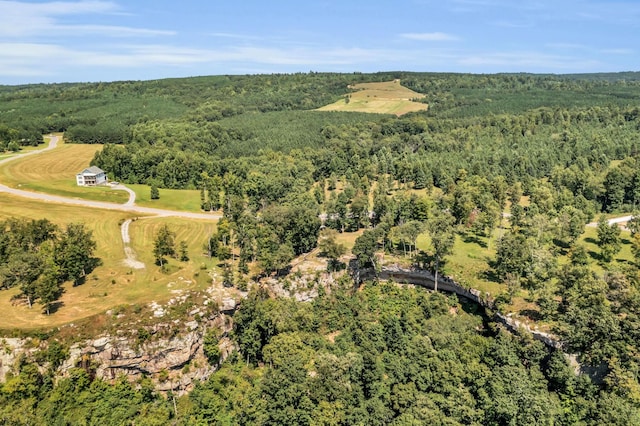 405 Boone Pass, Jasper, TN 37347 - view of property location featuring a forest