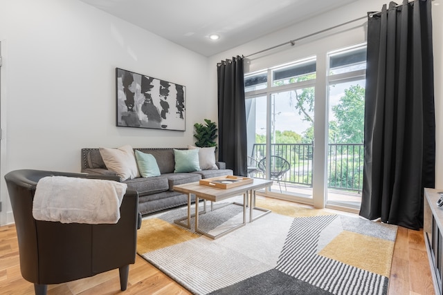 living room featuring light hardwood / wood-style floors