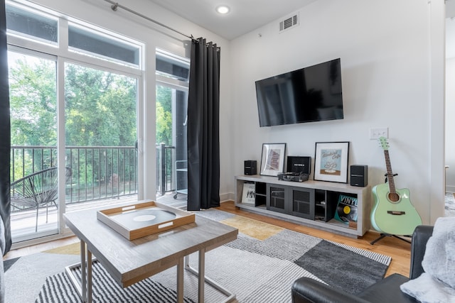 living room with light wood-type flooring