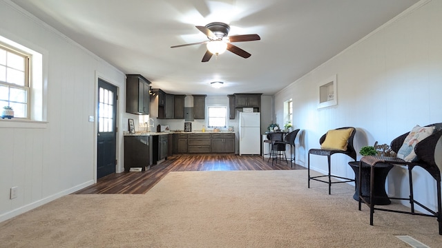 kitchen featuring white fridge, a healthy amount of sunlight, and ornamental molding