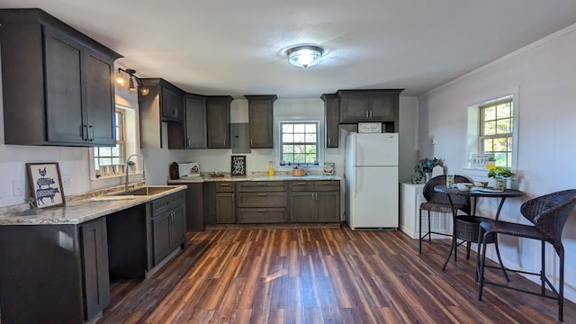 kitchen featuring dark brown cabinetry, sink, white fridge, and dark hardwood / wood-style floors