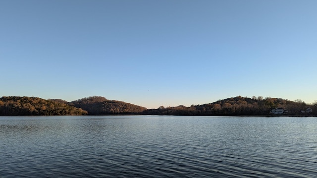 view of water feature