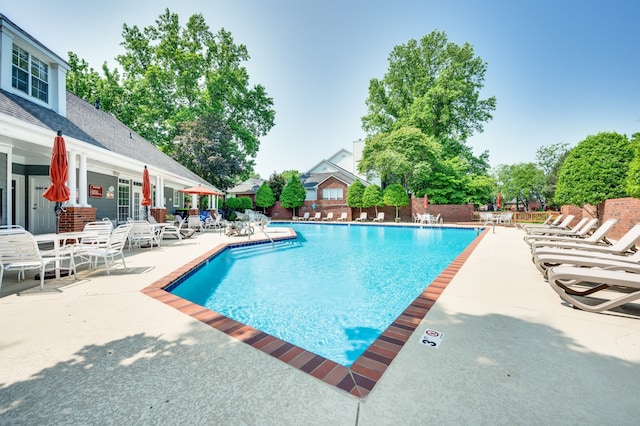 view of pool featuring a patio