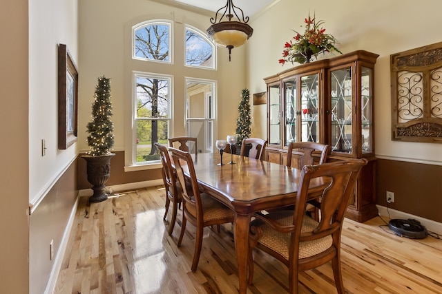 dining room with light hardwood / wood-style flooring