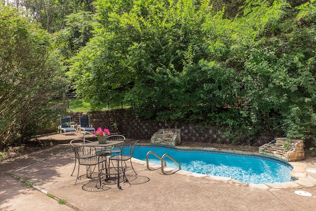 view of swimming pool with a patio