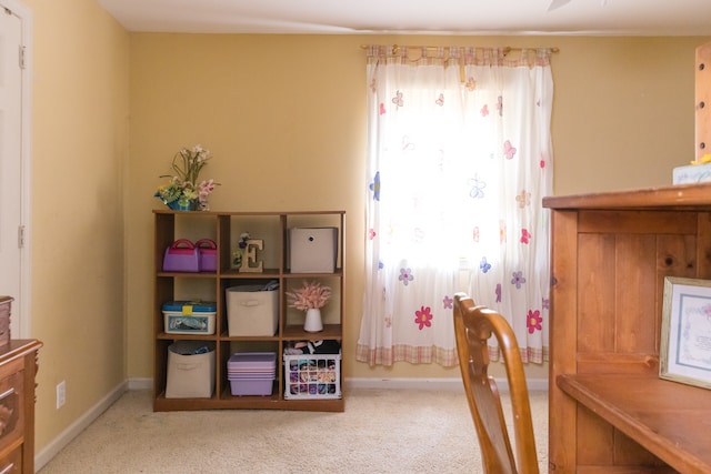 interior space featuring plenty of natural light and carpet