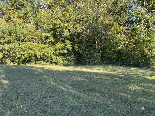 0 Indian Mound Dr, Mcminnville, TN 37110 - photo 6