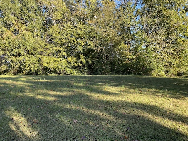 0 Indian Mound Dr, Mcminnville, TN 37110 - photo 4