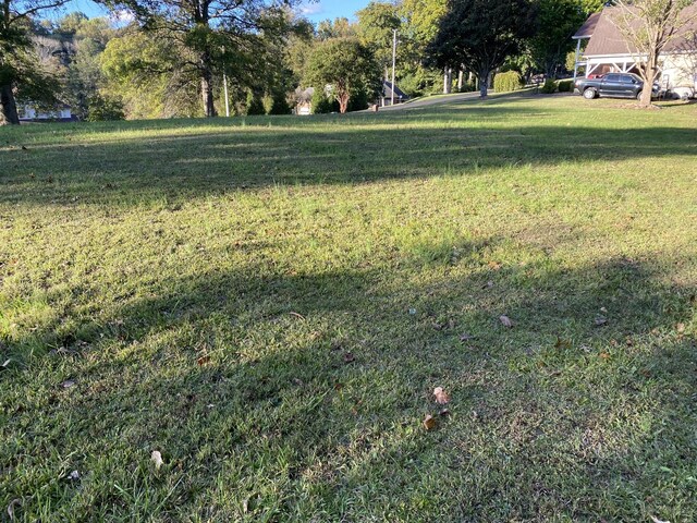 0 Indian Mound Dr, Mcminnville, TN 37110 - photo 5